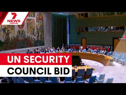 Australia's UN Security Council bid | 7NEWS