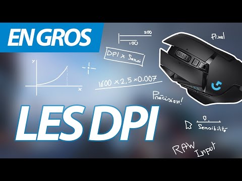 En gros : Les DPI