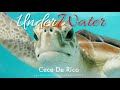 Underwater  cece de rico