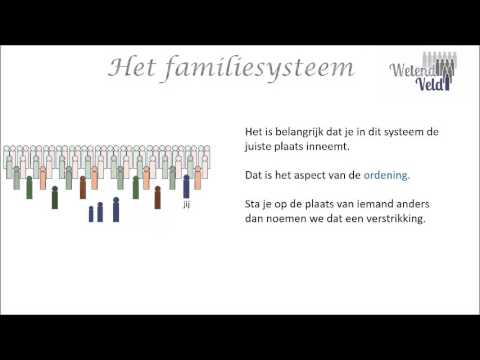 Video: Productieve Interactiepatronen In Een Functioneel Familiesysteem