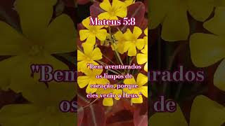 #bemaventurado #aleluia #bomdia #youtubeshorts .