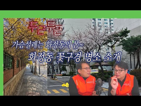 두근두군 설레는 화정의 봄, 동네 꽃놀이 갑시다