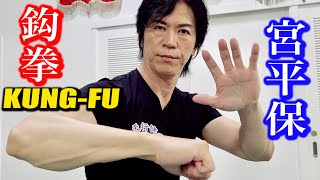 【KUNG-FU】Ramming attack with your fist and elbow!（Miyahira Tamotsu）