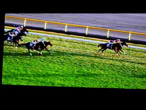 ２０１２年第32回ジャパンカップＧⅠ
