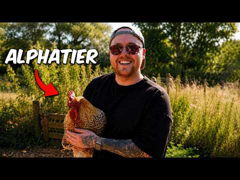 ZARBEX INTERNS AT AN ANIMAL SANCTUARY! | GEESE ATTACK, FEEDING PIGS and more.... 🐷