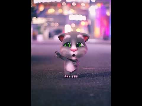 TIKTOK TALKING TOM 🎵 Talking Tom Dancing Cute Baby Tom, Tom Cat Dancer