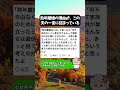 ㊗️100万再生!【モラ夫】熟年離婚される理由が、この夫の一言に全部詰まっている【熟年離婚】 #モラ夫 #熟年離婚 #夫婦問題