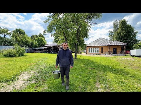 Сможем ли мы его спасти? Что мы купили? Наводим порядок на участке. Строим дом своими руками.