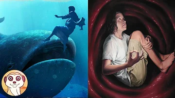 Quali modifiche importanti si sono verificate nei cetacei?