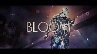 Bloom