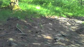 Gethin Downhill 372011 Gary Conlon Part 2 Run 2