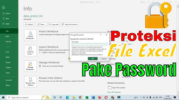Cara tips mudah membuat password file excel