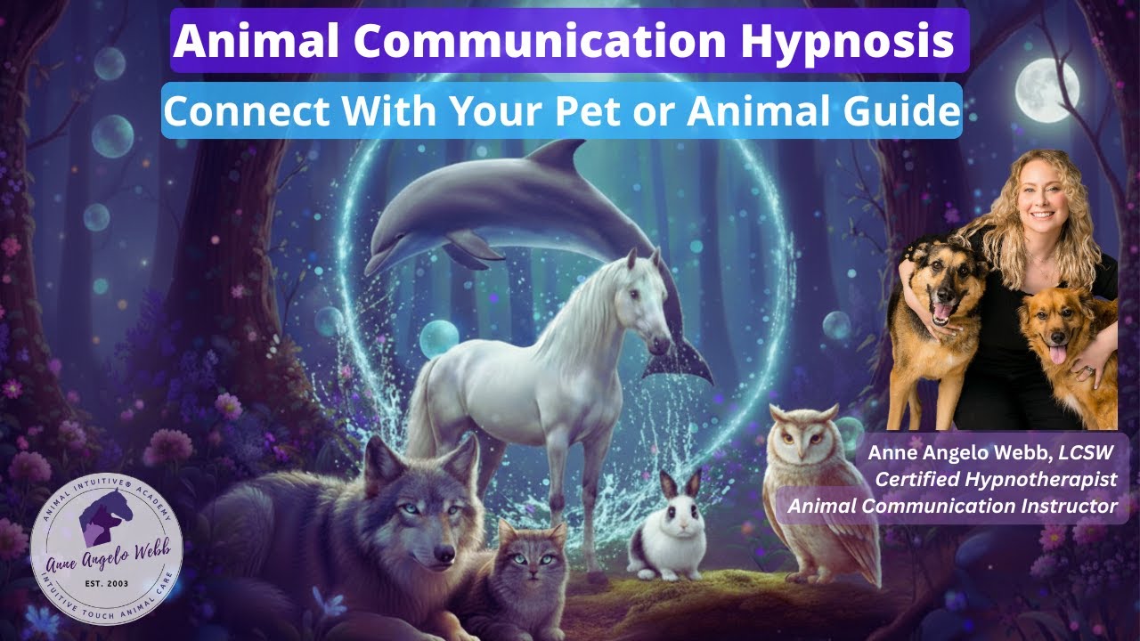Sleep Relaxation Hypnosis Animal Communication Journey w isochronic music 