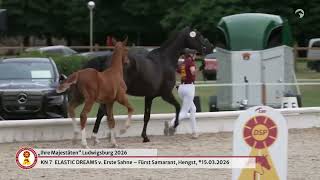 Lot 7 Elastic Dreams v. Erste Sahne / Fürst Samarant - \