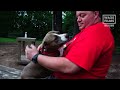 Abandoned Pit Bull Dog Only Wants Kisses & Hugs | The Rescuers DNA