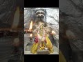 aaj ke darshn mata rani ke #bhiwani #devsar dhaam #9_4_2026