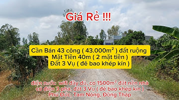 Cần Bán 43 công ( 43.000m² ) đất ruộng | Mặt Tiền 40m ( 2 mặt tiền )Đất 3 Vụ ( đê bao khép kín )
