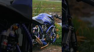 Tiger Pangeran Makin Mewening Bolo short samlongcjdwgank herex danapelajar viral