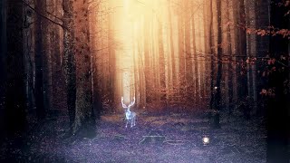 🍁🦉 AUTUMN IN THE FORBIDDEN FOREST | Enchanted Forest Ambience | Harry Potter inspired ASMR screenshot 4