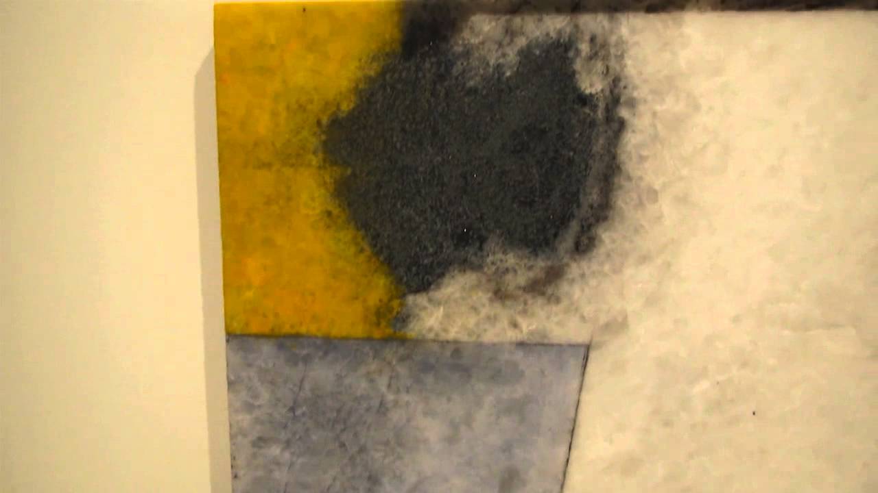 bruce jenner Brice Marden New Paintings at MATTHEW MARKS