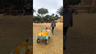 Meghan Markle desata intriga con video familiar entre calabazas y secretos antes de Halloween