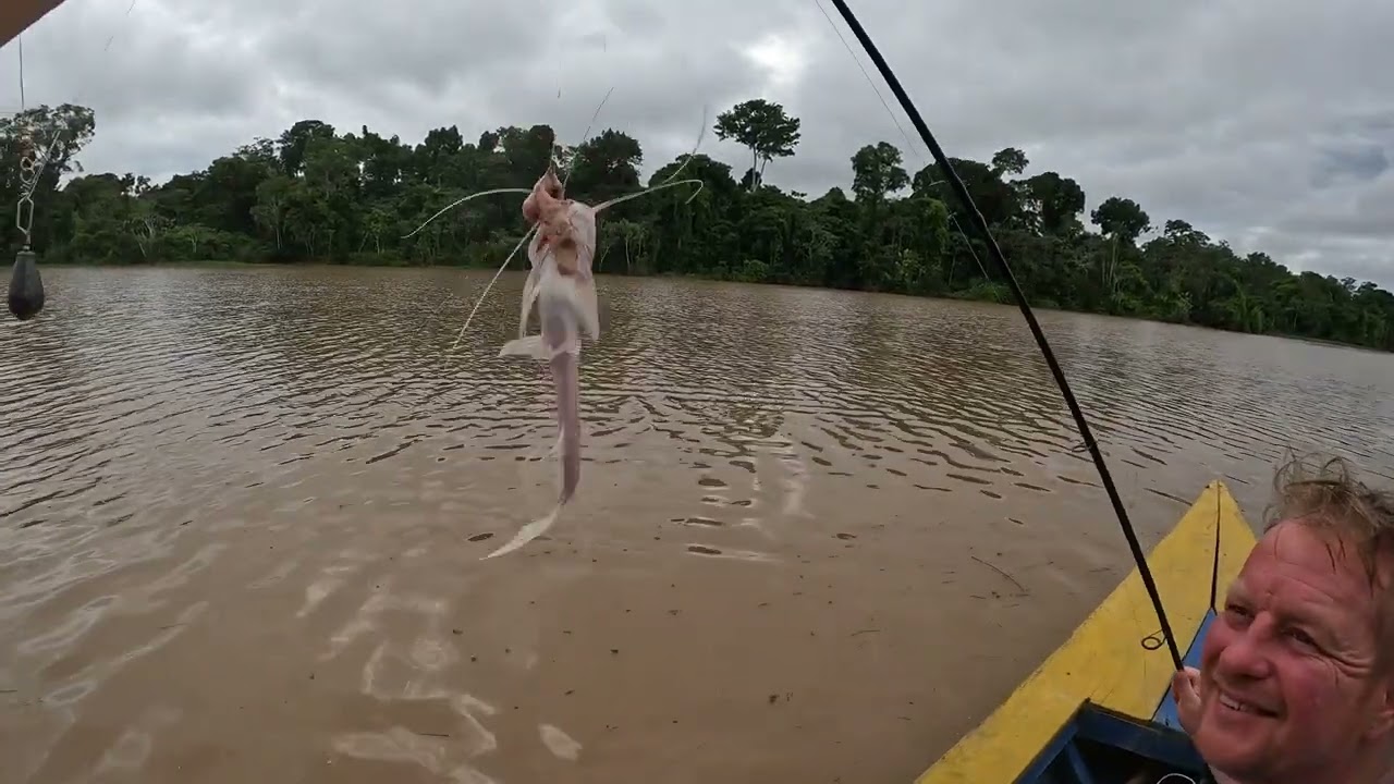 амазонка ловил рыбу а поймали птицу