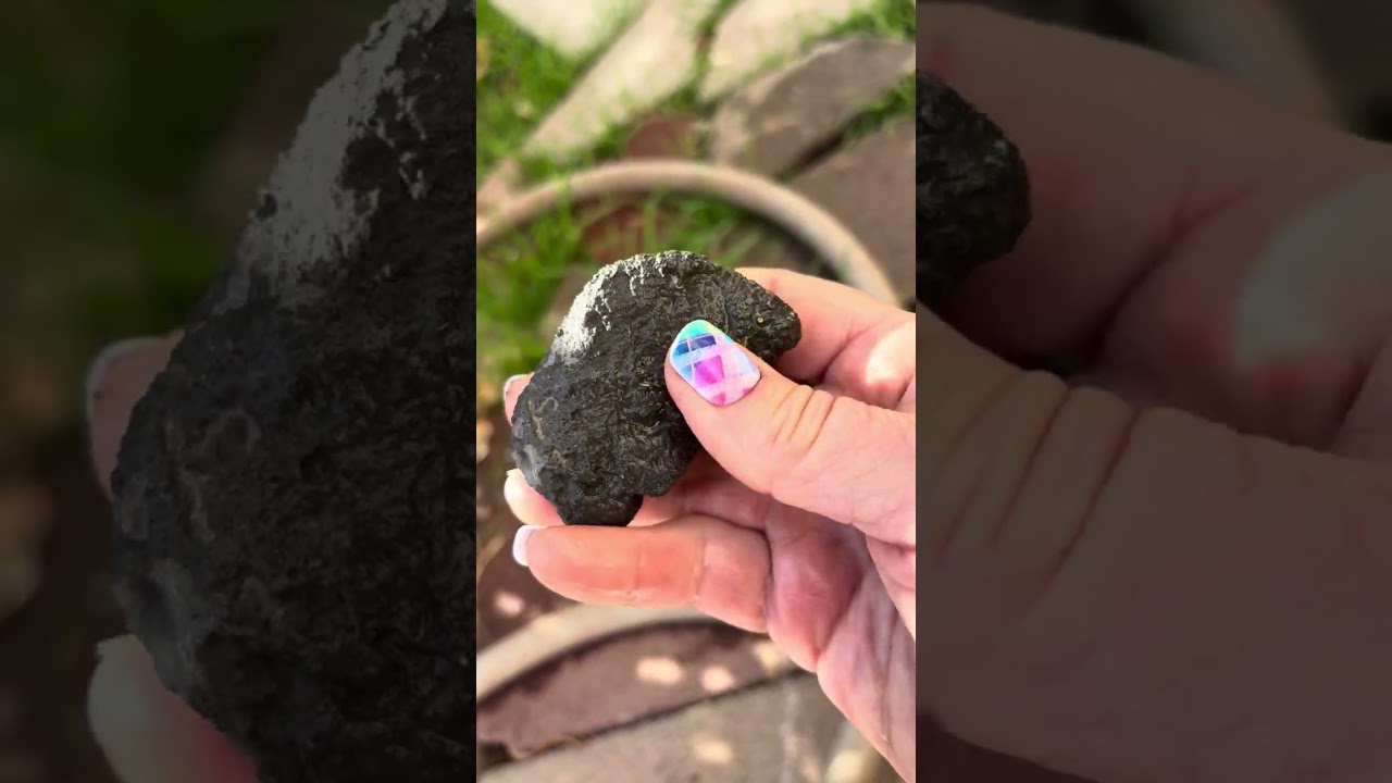 Monday Madness! Sharing Some Totally Amazing Finds! 1.12.26