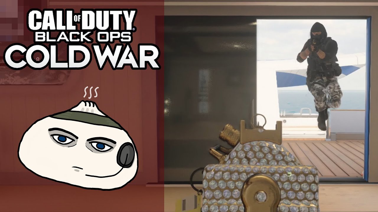 Ein Gegner kommt selten allein | Call of Duty Black Ops Cold War Multiplayer #1