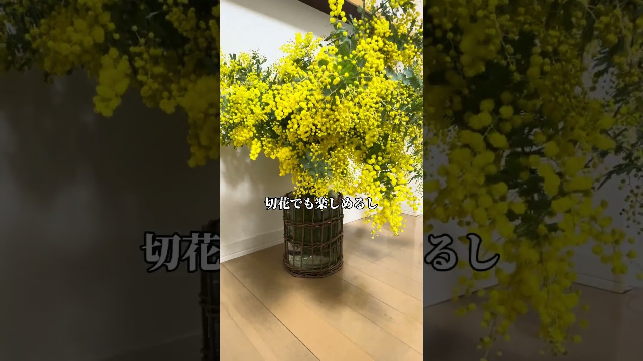 花好きならこれ