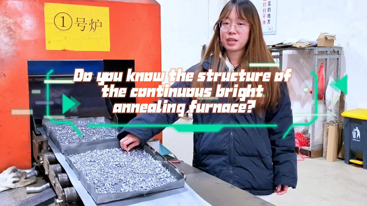 Inside a Continuous Bright Annealing Furnace: Unveiling the Structure