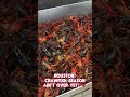 HEY HOUSTON! Crawfish Season Ain’t Over Yet 🦞🔥
