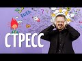 Самое сильное оружие против стресса