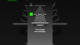 The weird experiment that changes when observed