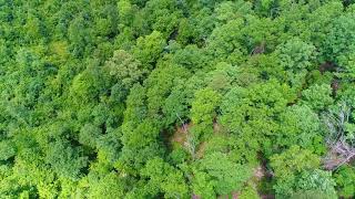 $500 Down on 9 Acres near Conservation land - ID#CB08