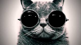 AMERICAN DJ - Damara (Nutmann Remix)