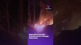 Reportan incendio forestal en La Ciénega, Sabaneta