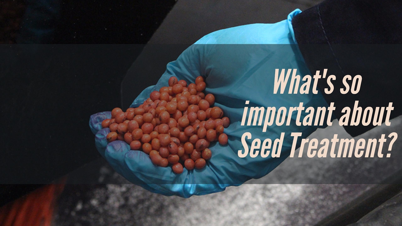 What's so important about Soybean Seed Treatment? YouTube