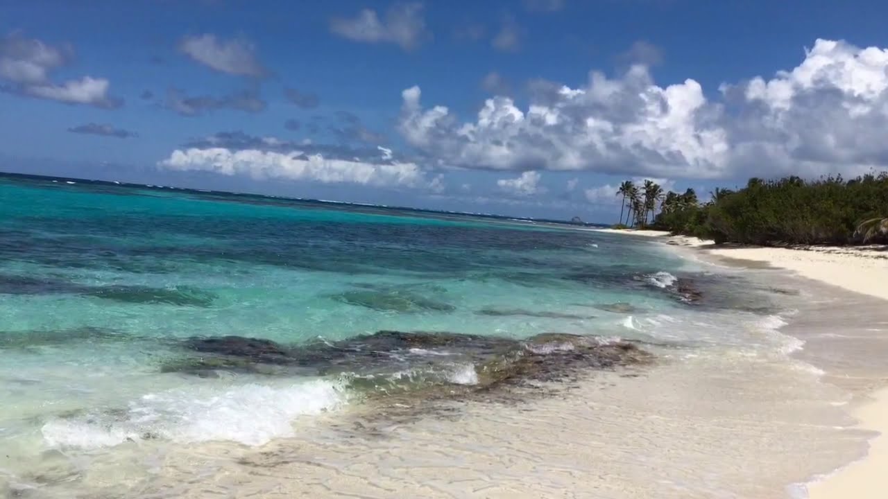 ⁣PURO CARIBE IV. TOBAGO CAYS.