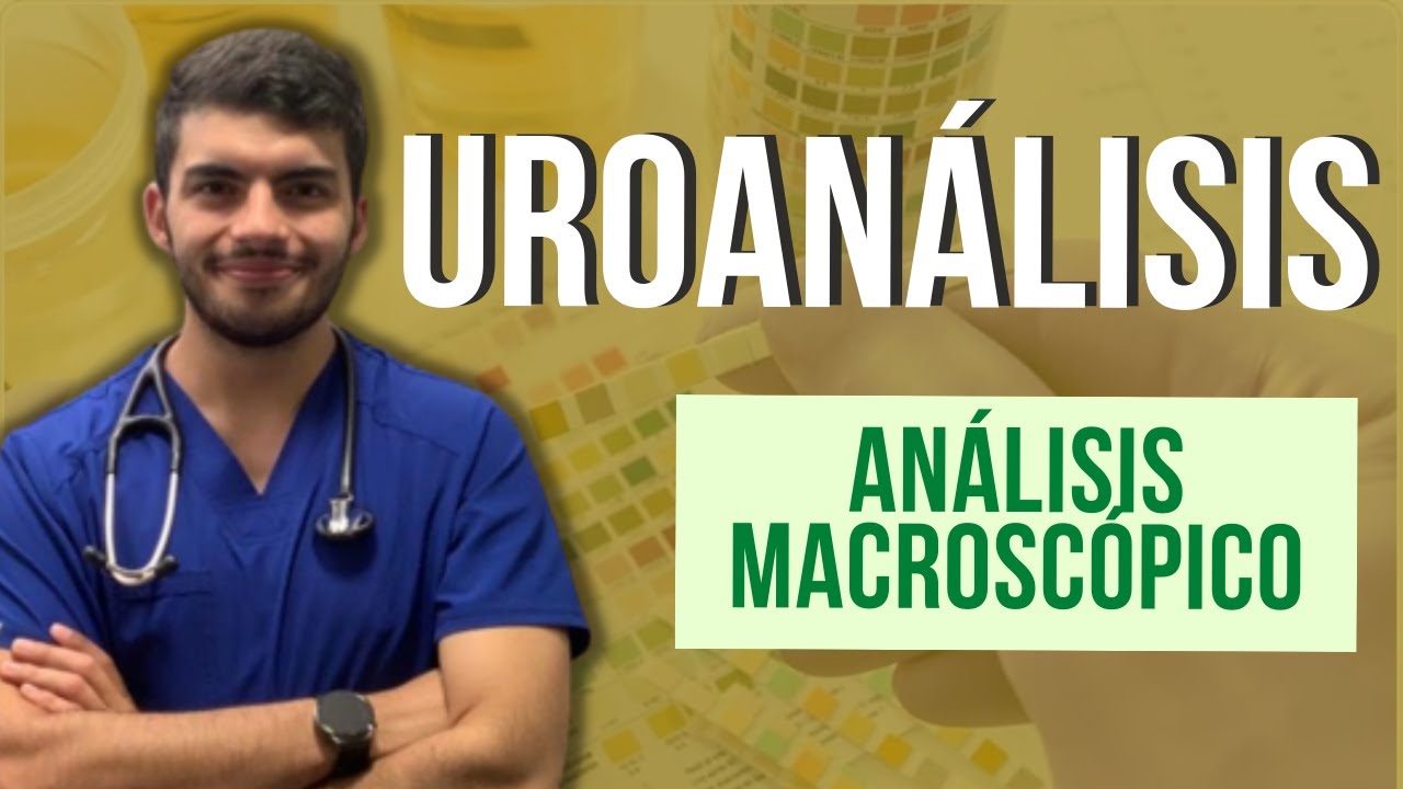 АНАЛИЗ МОЧИ – Основные понятия и макроскопический анализ (Часть 1)