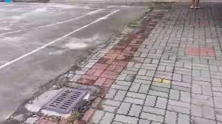 20140606凱旋6 2男生路跑