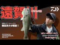 DAIWA 実釣ルアーマニュアル STEEZスピナーベイト 梅田京介