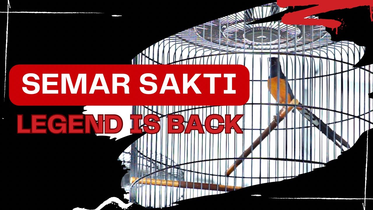 SEMAR SAKTI SANG LEGENDA TELAH KEMBALI ‼️