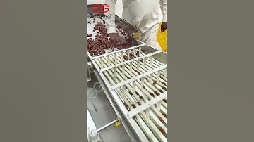 Palm Dates Sorting Machine