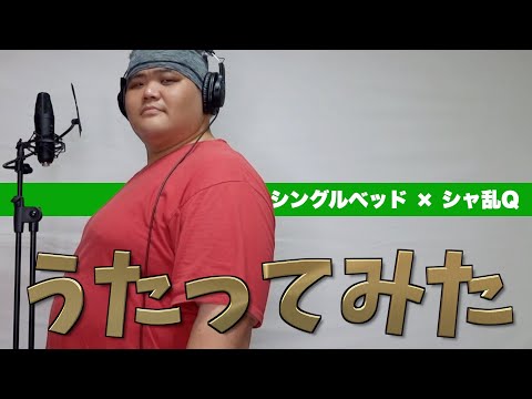 【歌ってみた】シングルベッド／シャ乱Q　covered by あさチャン 【D・N・A 2～何処かで失くしたあいつのアイツ～ 】
