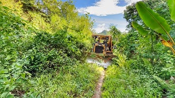 The Fastest Way to Clean Up Abandoned Plantation Roads Using the CAT D6R XL dozer