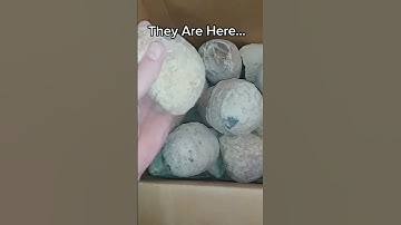 They Are Here... #Geode #Geodes #Enhydro #Water #Nature #Geology #Crystals