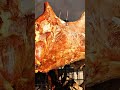 Roasting A рџђ Camel ASMR Nature Cooking Roasting A рџђ Camel ASMR Nature Cooking