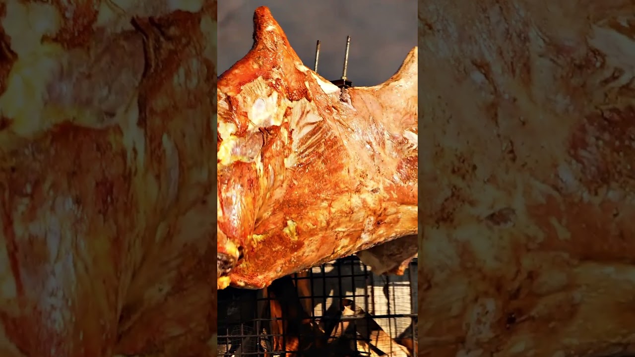 Roasting a 🐫 Camel - ASMR Nature Cooking