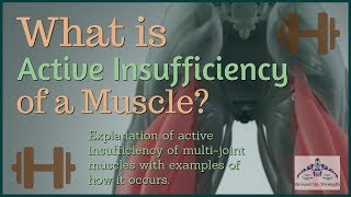 What Is Active Insufficiency of Muscle?