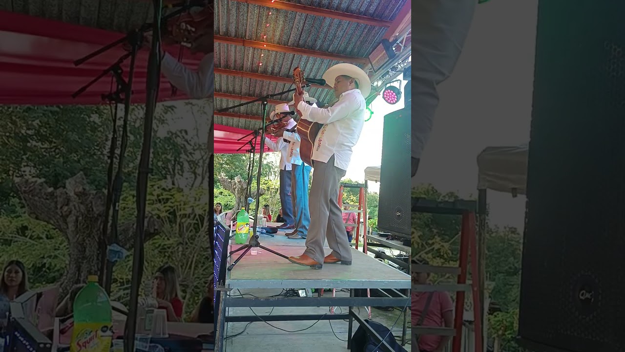 Sonorizando el trio nueva ilusión evento de 15 años en el tule limon tempoal Veracruz 28/12/25